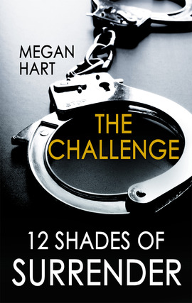 Title details for The Challenge by Megan Hart - Available